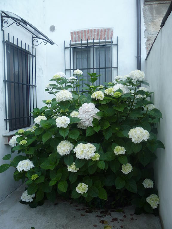 L'Adele Bed & Breakfast Occimiano Eksteriør billede